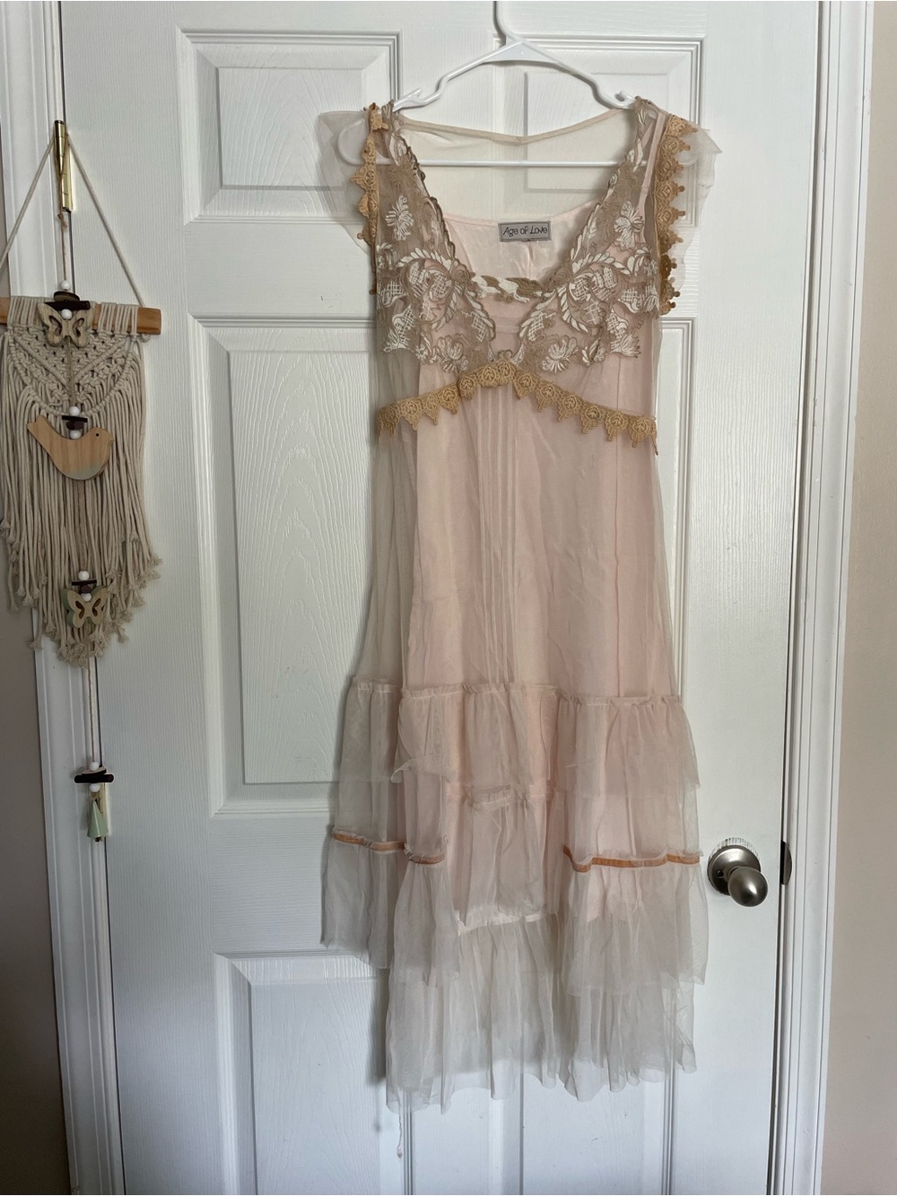 Vintage Age of Love Women's Sheer Lace and Embroidered Trim Dress in Blush